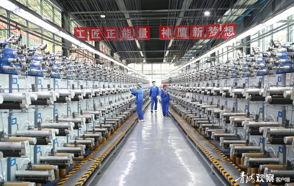 中复神鹰(688295)强势表现分析