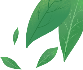 宣城:"小龙舟"撬动"大市场"  端午假日文旅消费新活力迸发