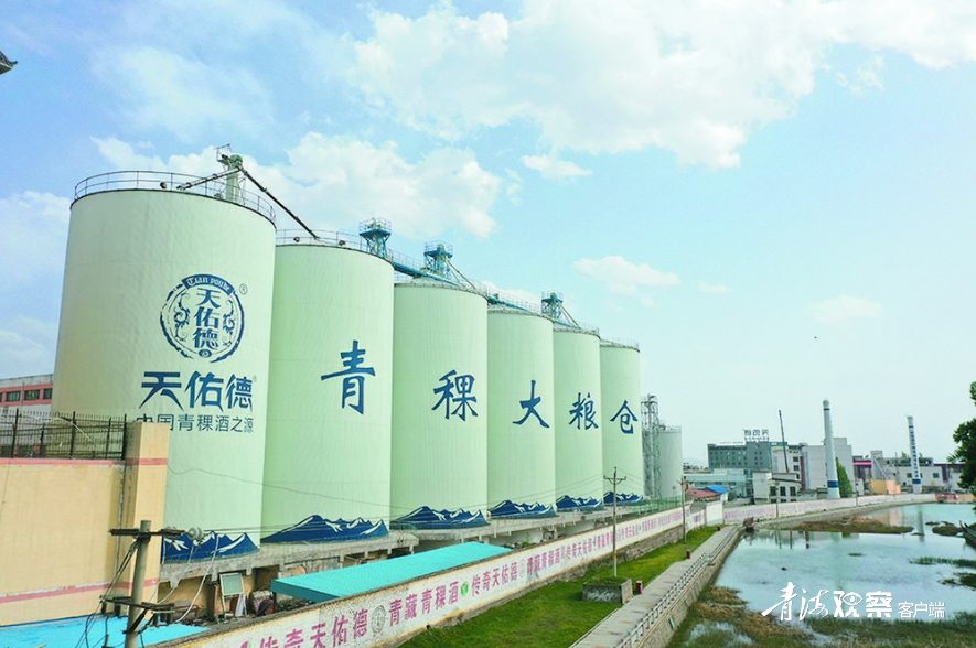 产区),玉树虫草,柴达木枸杞,互助青稞酒先后入选国家地理标志运用促进