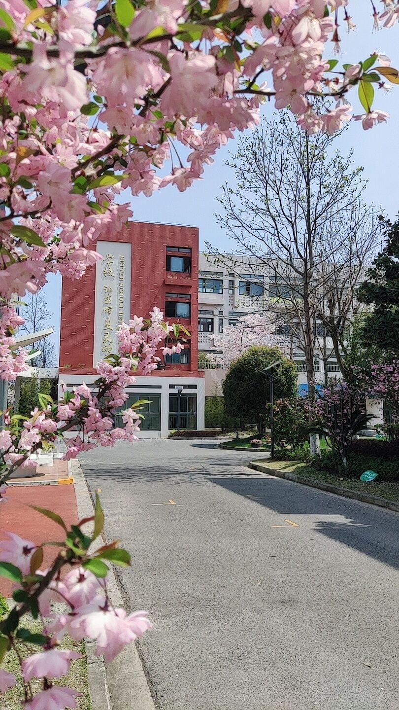 春天里的闵行校园?就问问敢不敢这样拍!