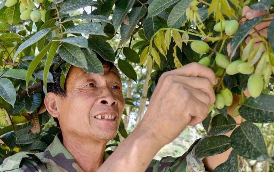 这个c位福建当仁不让