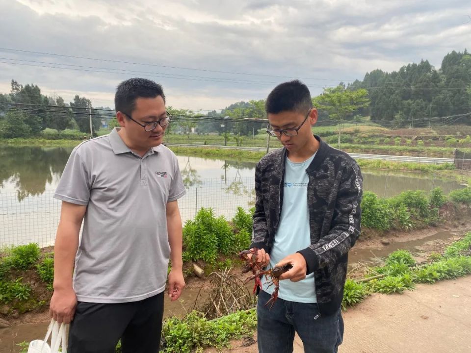 乡村振兴进行时 | "稻虾共生" 激发乡村振兴"大动能"