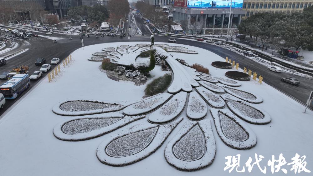 雪落金陵,鼓楼广场"绿孔雀"变身"白天鹅"