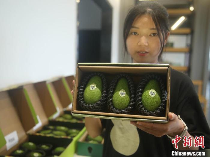 [南方生姜网-图片加载]