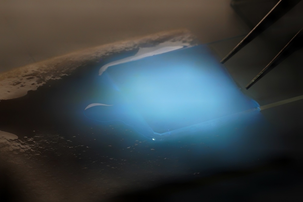 怎么买医用胶水科技周刊 ｜ 普通胶遇水就废 这款胶偏不怕水_https://www.jmylbn.com_新闻资讯_第2张