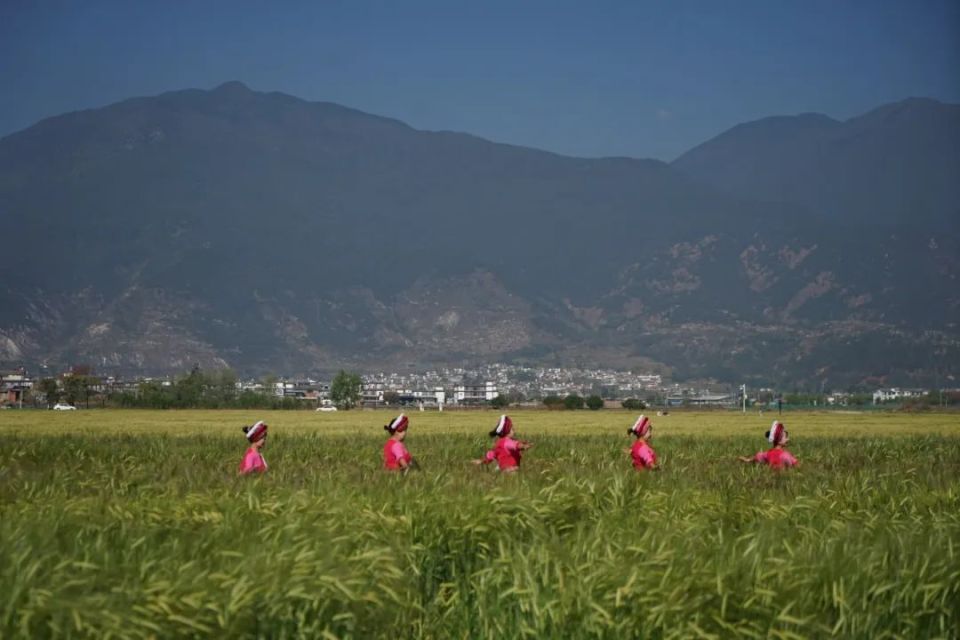 四时不同的美丽田园风光已经成为了向阳溪村"农旅融合"助推乡村振兴的