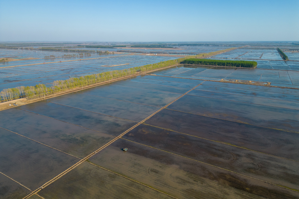 四季中国丨播种希望!"插秧专列"驶向三江平原"北大仓"