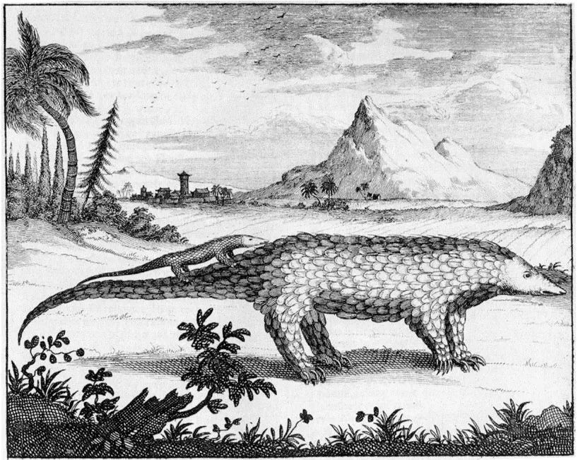 乔纳森·贝利博士:你不了解的穿山甲