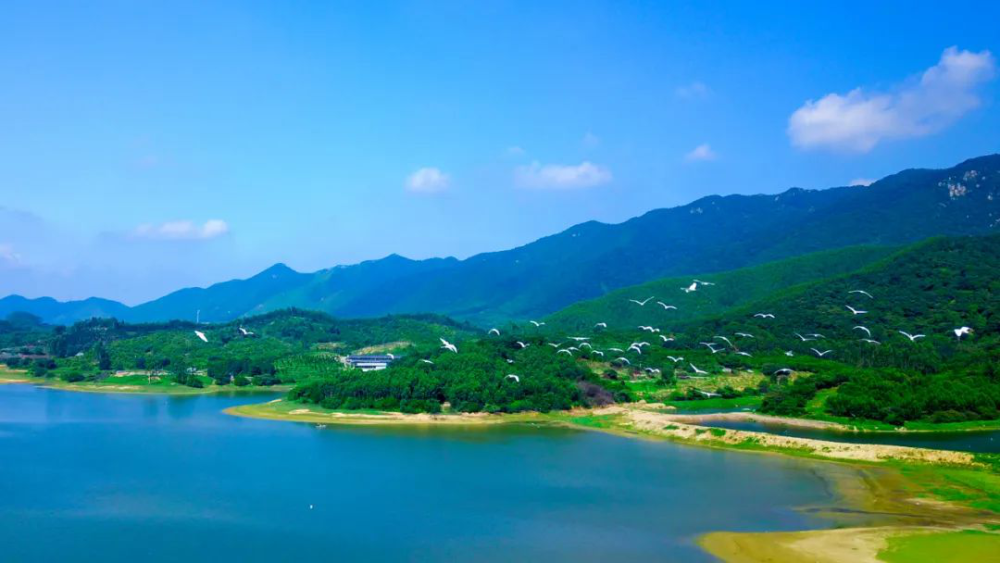 逛集市,品鲜果,泼水节……三水南山镇夏日文旅盛宴精彩来袭_深圳热线