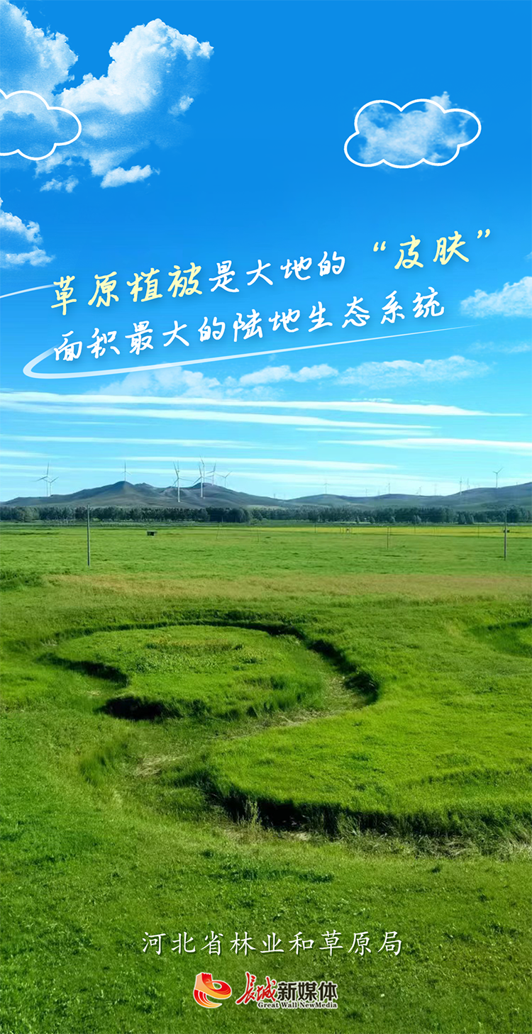 海报集|草原风光 沃野千里_腾讯新闻
