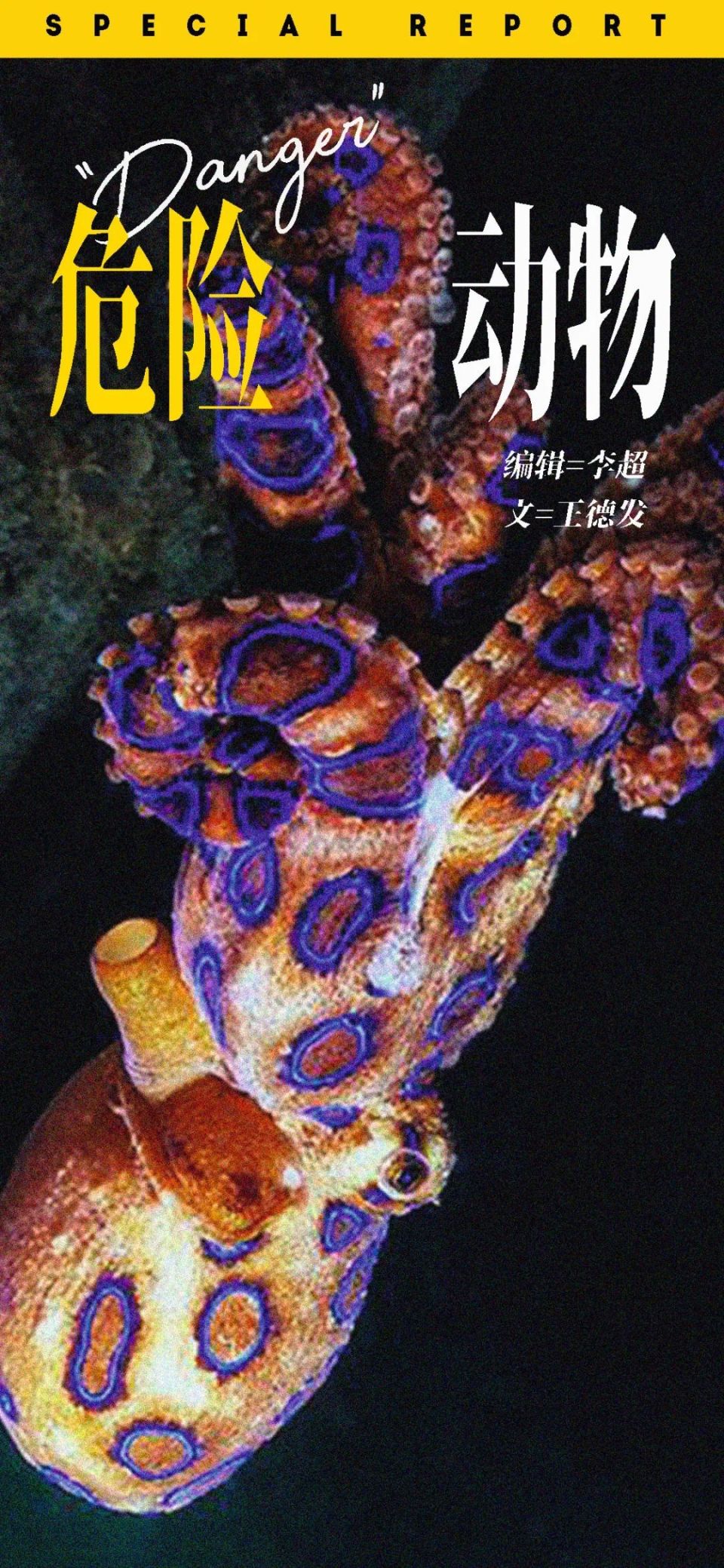 那些能轻松置你于死地的家伙