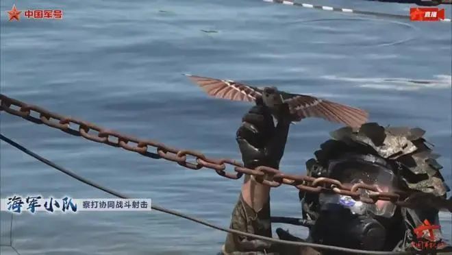 2名头戴面罩的蛙人浮出水面后,迅速释放了一架酷似麻雀的仿生扑翼无人