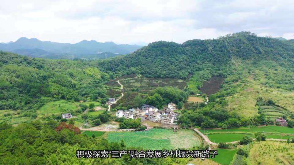 奋战"百千万" 连州"镇"功夫