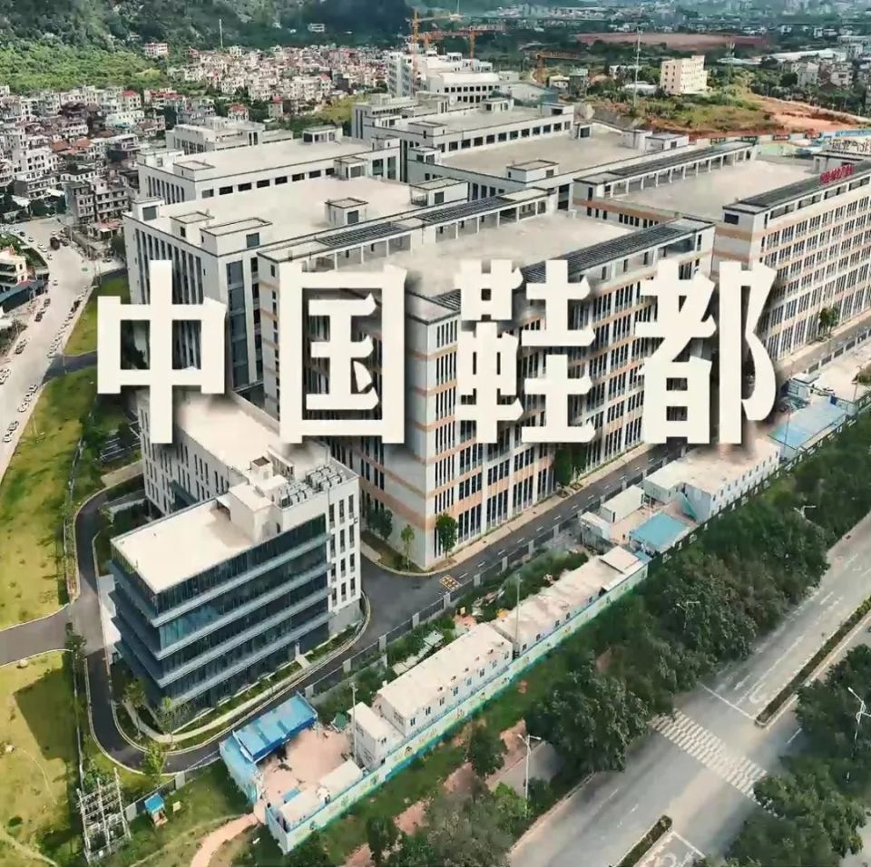 中国鞋都dū鞋都dōu去哪儿了