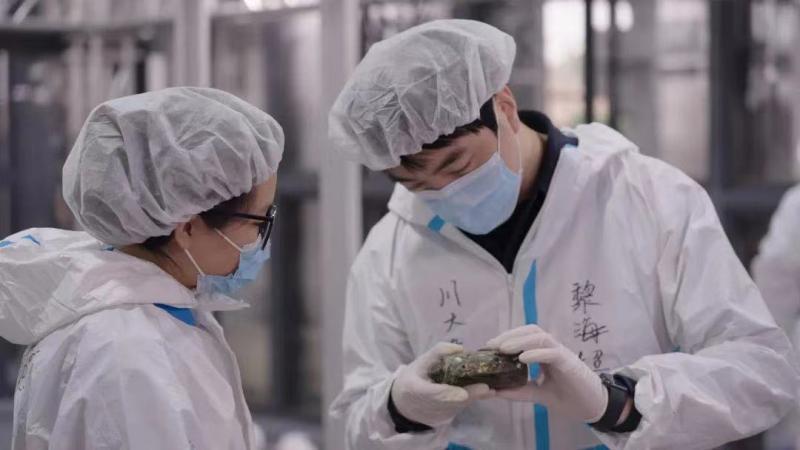 90后占75% 川大三星堆考古队获五四奖章:考古是代代相传的事业_腾讯