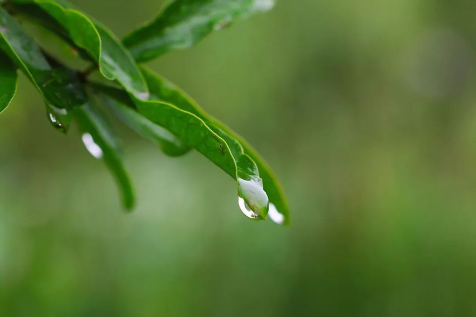 马涛 | 雨落村庄
