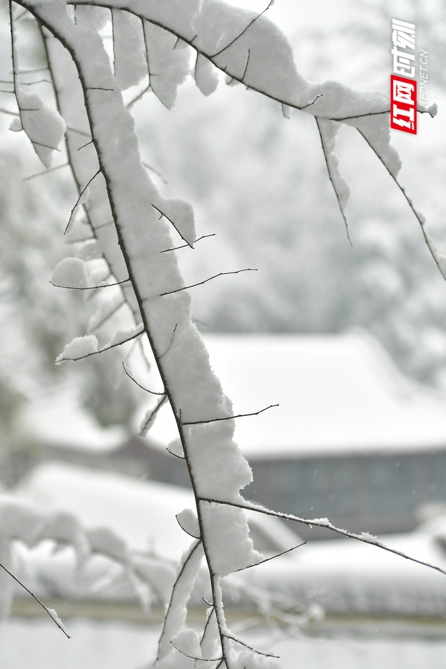 古风雪景图唯美淡雅图片