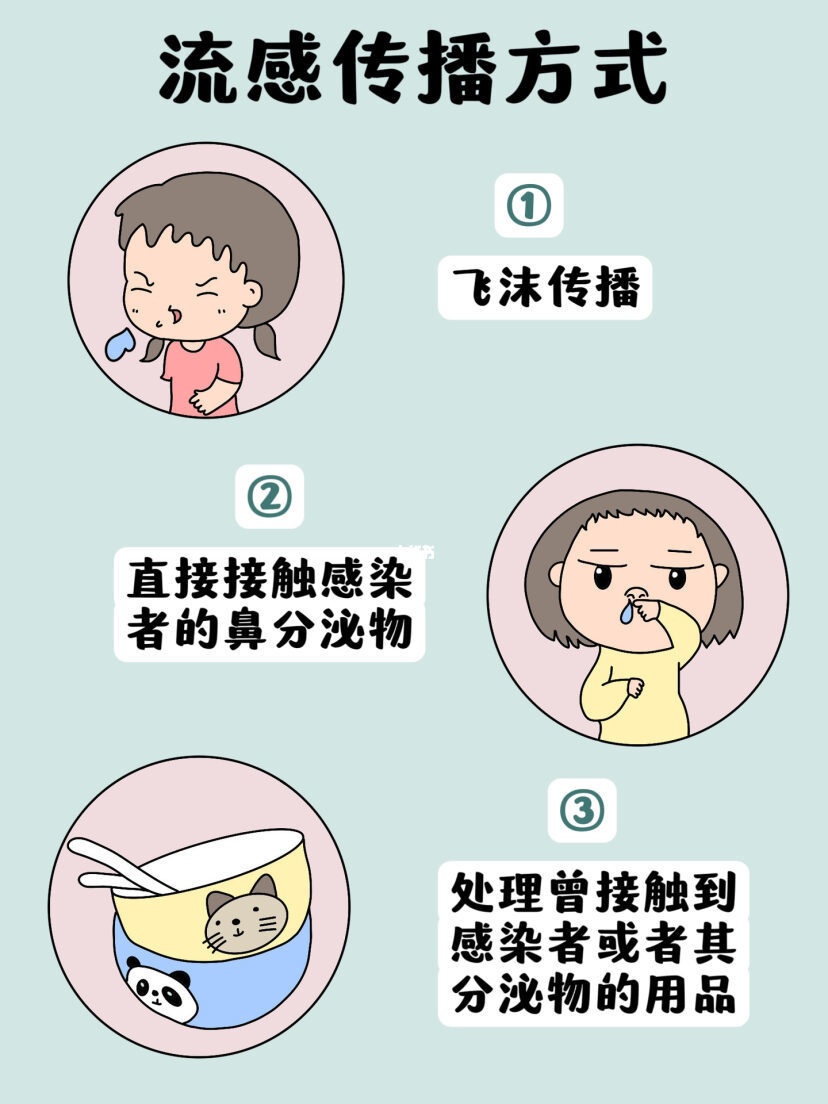 甲流是一种什么病(甲流是一种什么病毒引起的)