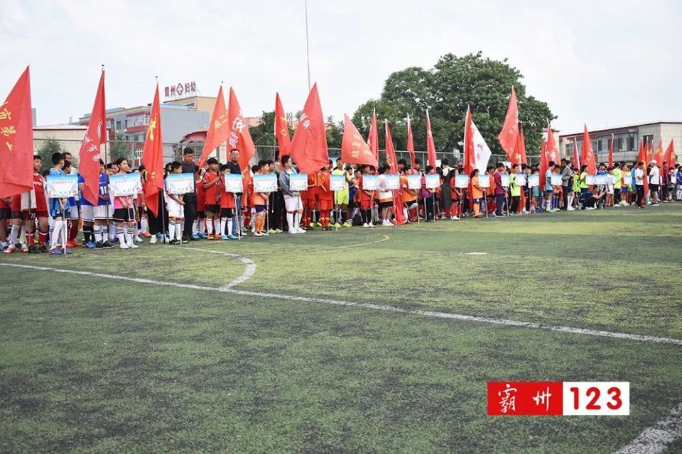 霸州实验中学图片