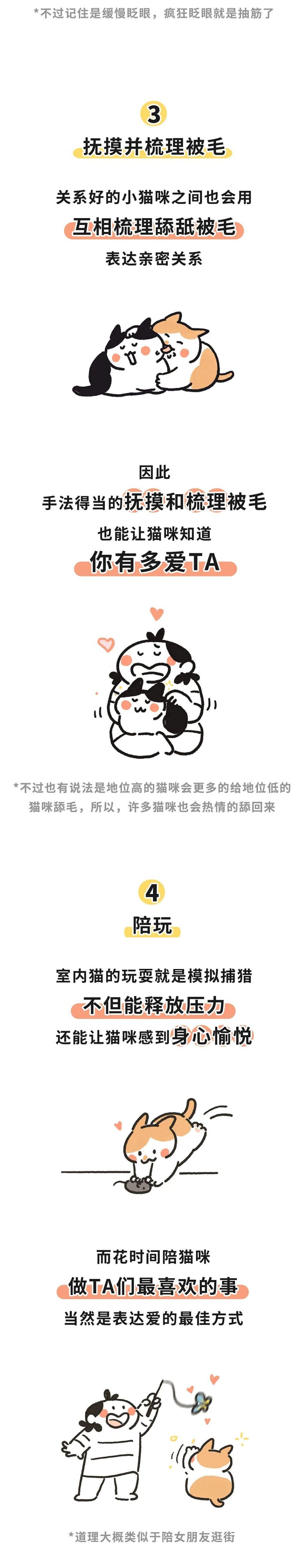 对小猫咪说"我爱你"的7个正确姿势!你说对了吗?