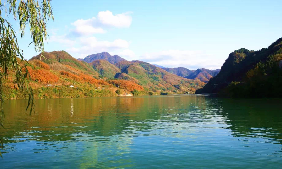 绝色天成！安康这两条森林生态旅游线路，赏秋冬游必去！