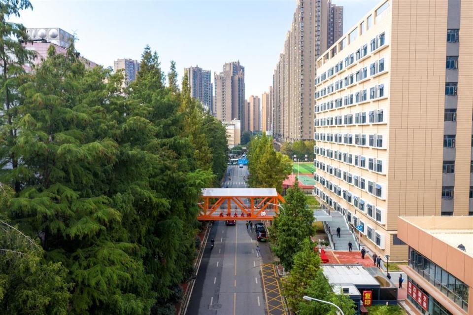 武科大天桥正式开通