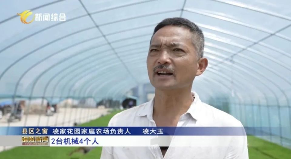 铜陵台,app豚云讯(记者 洪全 章鹏)"种一茬收两季",连日来,郊区再生稻