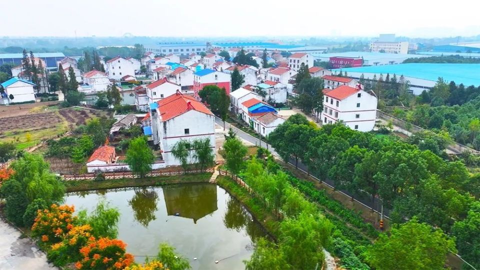 【每周一景】吴铺镇杨店社区