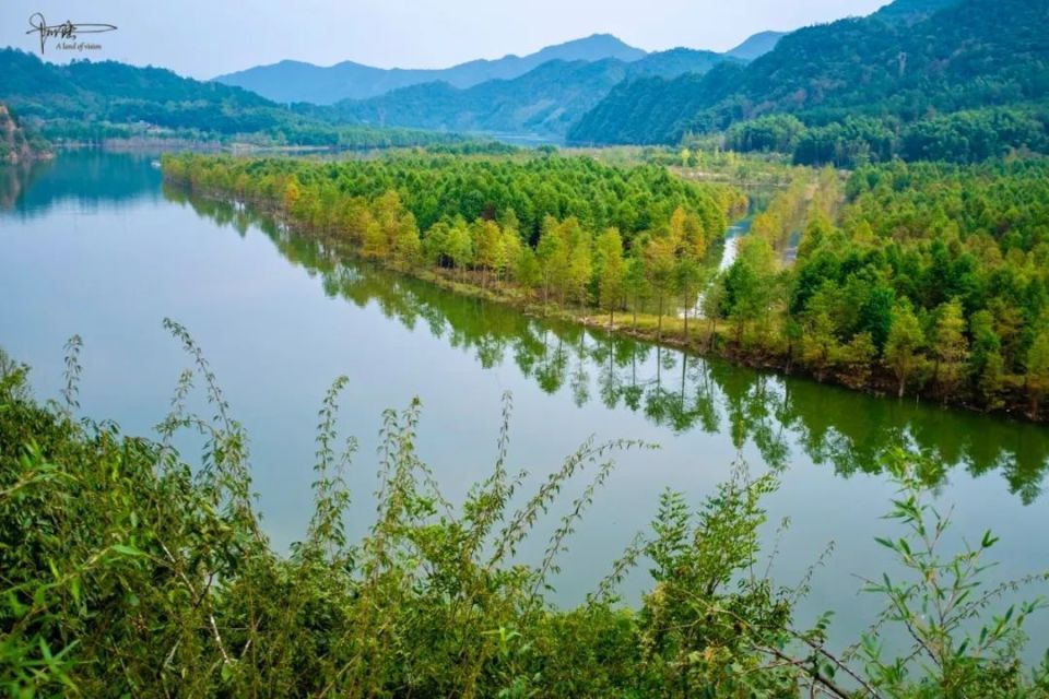 "宣城落羽杉湿地公园"坐落在安徽省宁国市方塘乡青龙湾水库腹地,总