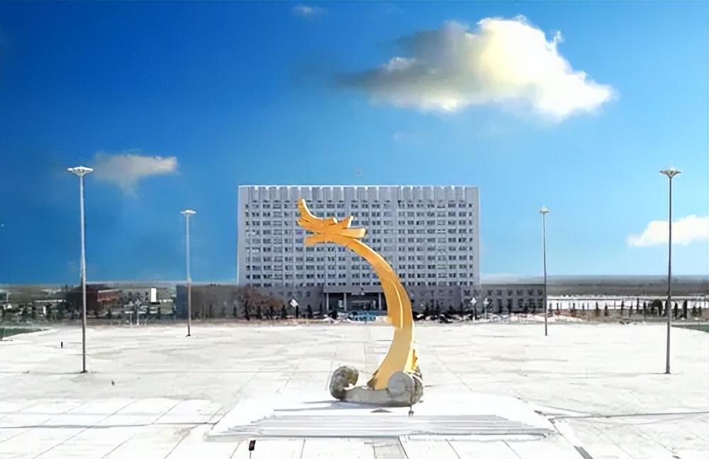 绥化肇东市招聘卫健系统政府购买服务人员100人公告-事业单位招聘