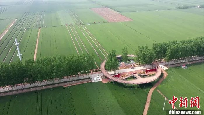 尉氏县张市镇高标准农田.