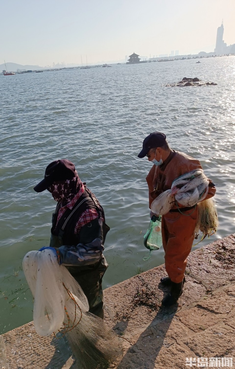 显微镜 | 捕鱼欢_腾讯新闻