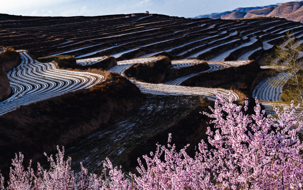 橙黄橘绿 乡村胜景：固原秋色田园 康养休闲之旅线路入选全国乡村旅游精品线路