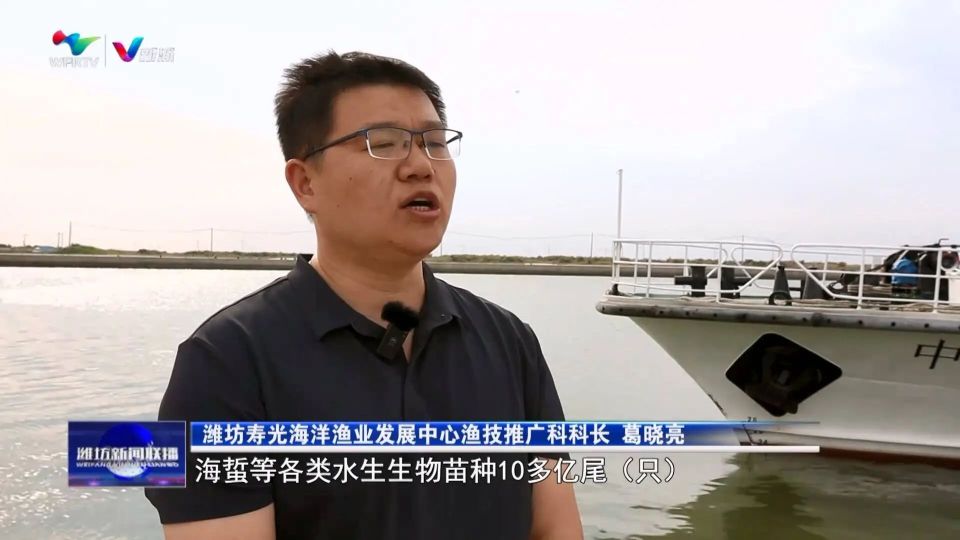 潍坊:向海图强 谋划高质量发展新"蓝"图