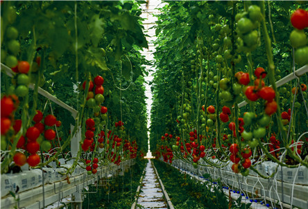 庆云地热开发扮靓乡村振兴底色