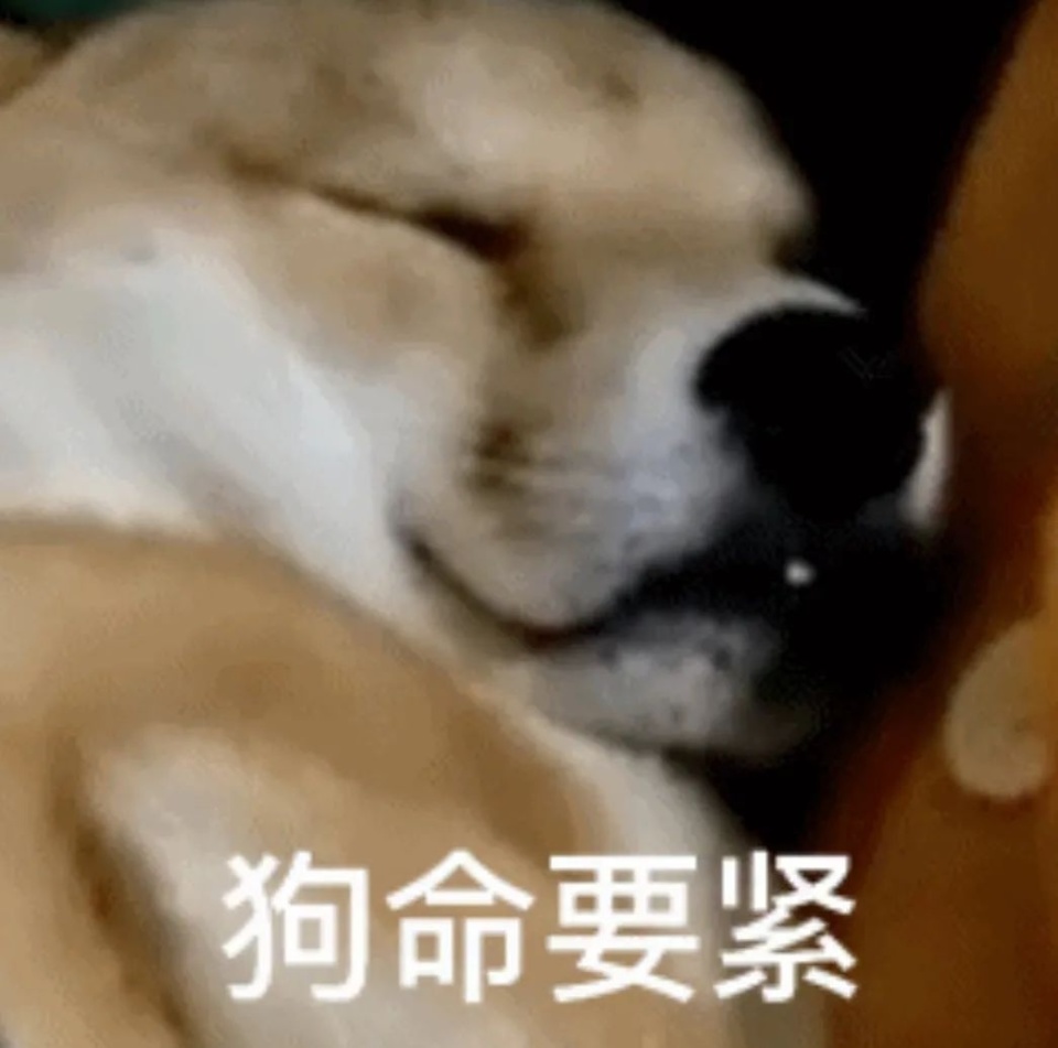 气温越高,减肥越快?