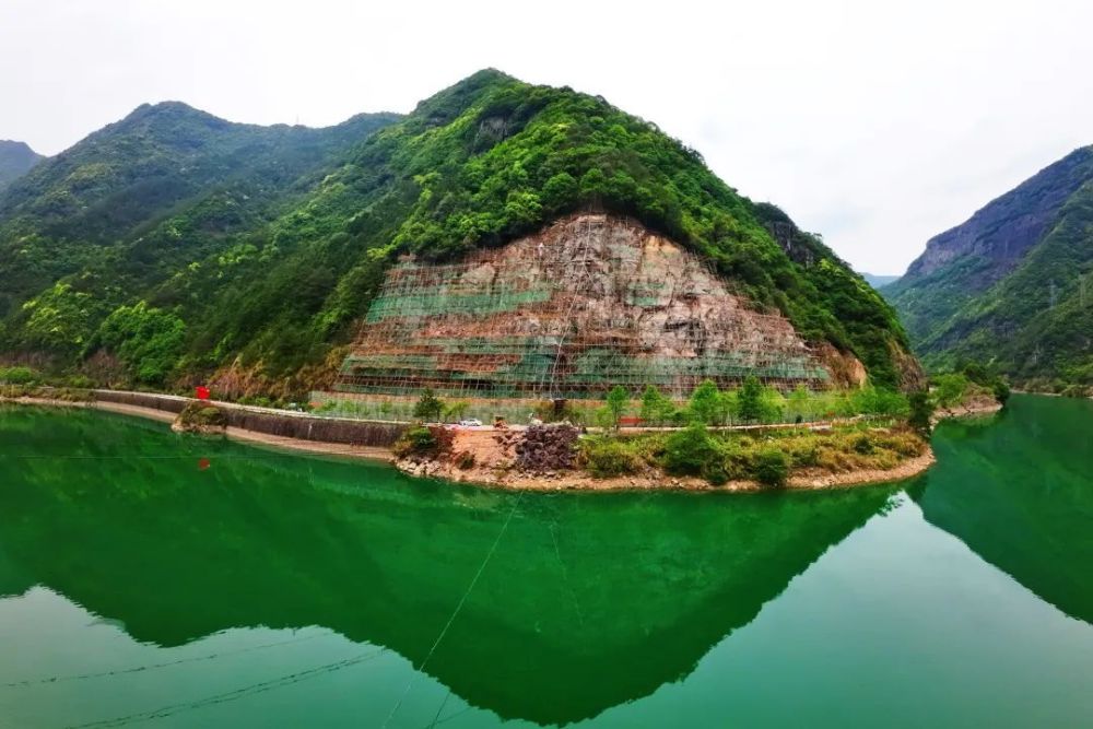 遂昌周根旺简介图片