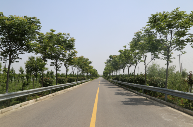 镇到村通双车道四级及以上公路,规划发展村庄双车道四级公路通达率100