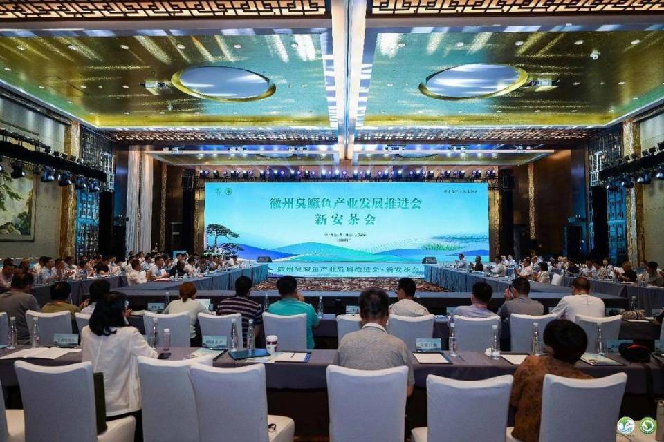 黄山市召开徽州臭鳜鱼产业发展推进会