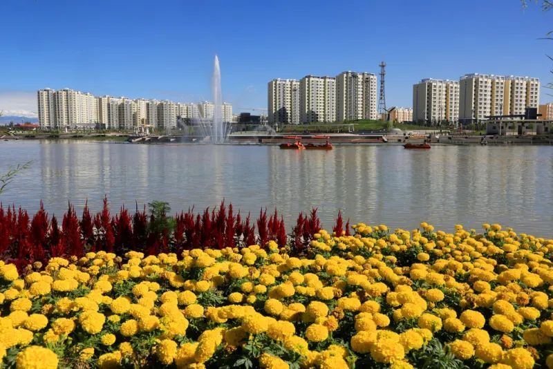 触摸县城·感受70年 | 红桥公园见证轮台县城绿色蝶变