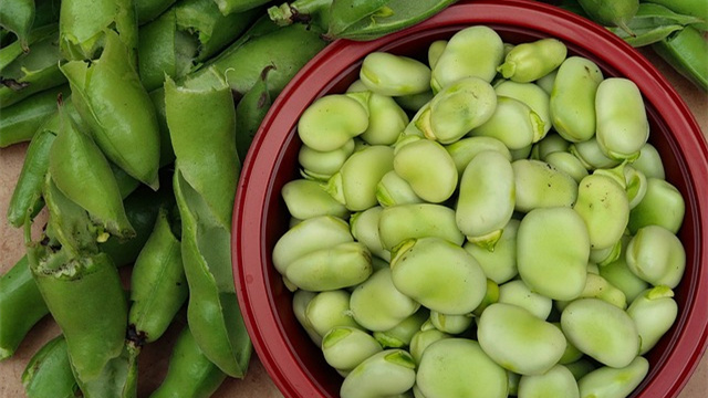 晨读徐慧芬蚕豆的味道