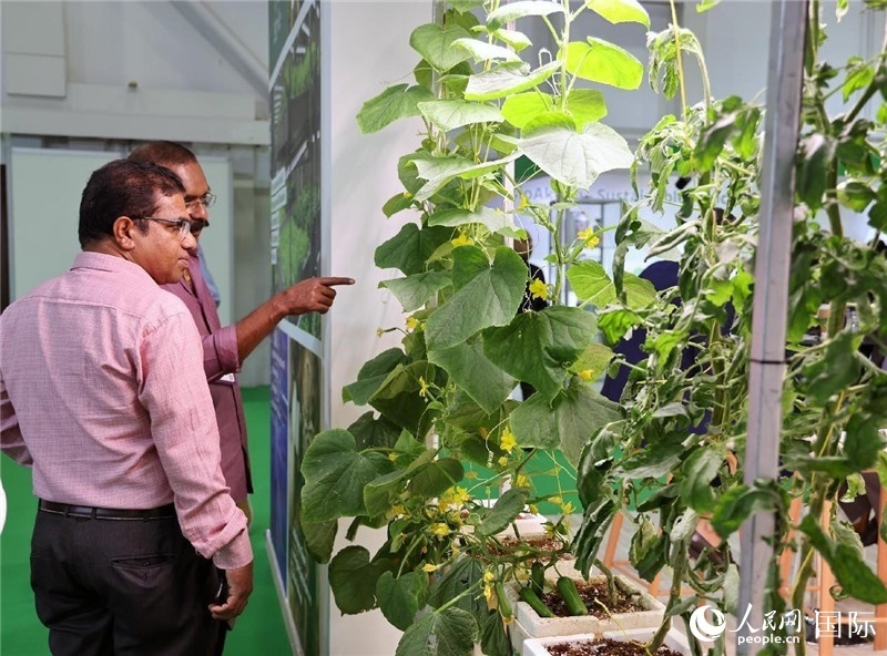 中东农业及畜牧展览会在迪拜举行