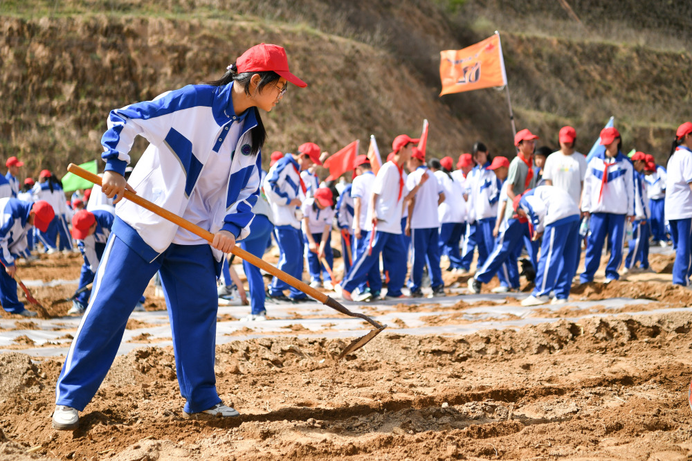 四季中国丨春访南沟村