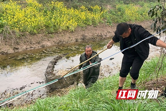 南县青树嘴镇开展天然水域网围整治专项行动