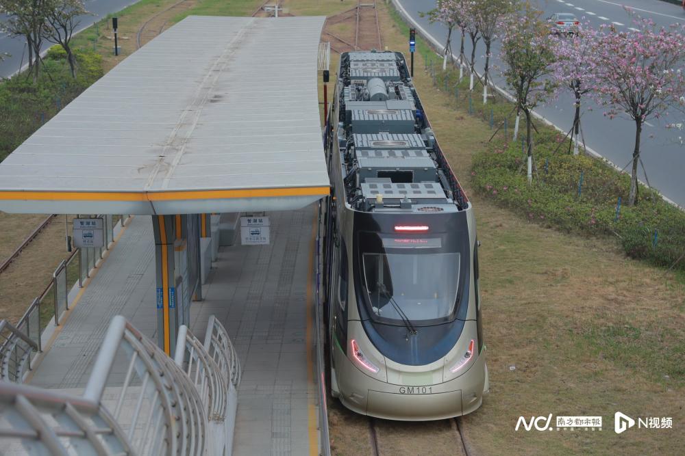 高明有轨电车运营补贴首度公开,政府牵头座谈开启寻变之路?_腾讯新闻