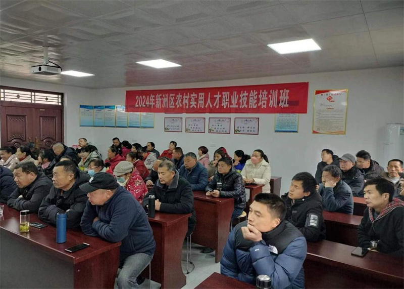 武汉新洲送训下乡春潮涌实用技能助振兴