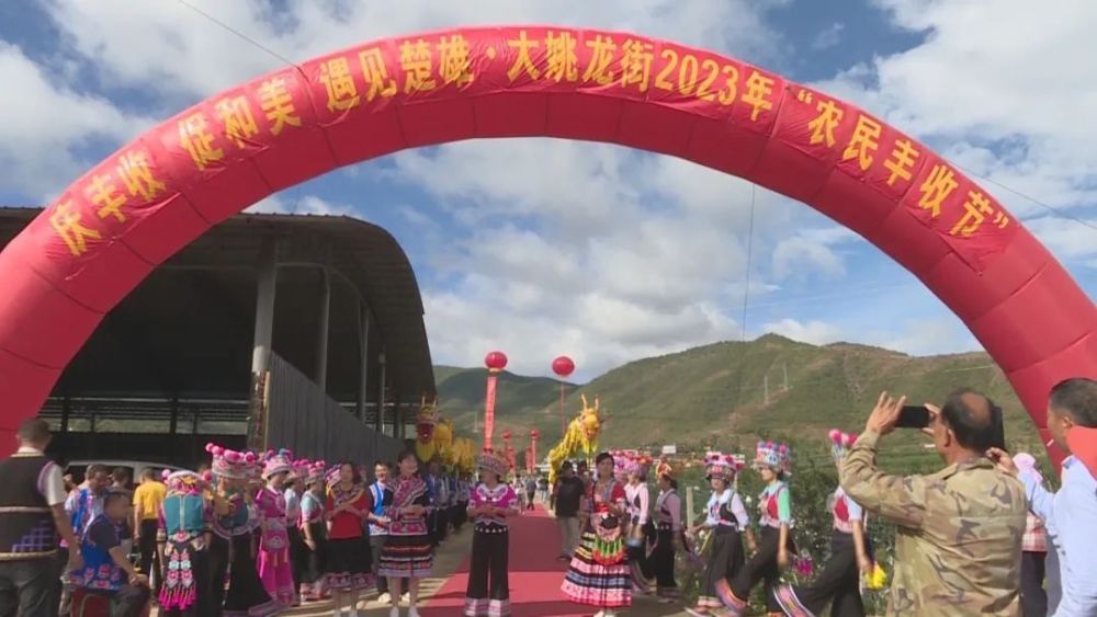 摸鱼,摘果,品美食…田间地头玩出新花样~_腾讯新闻