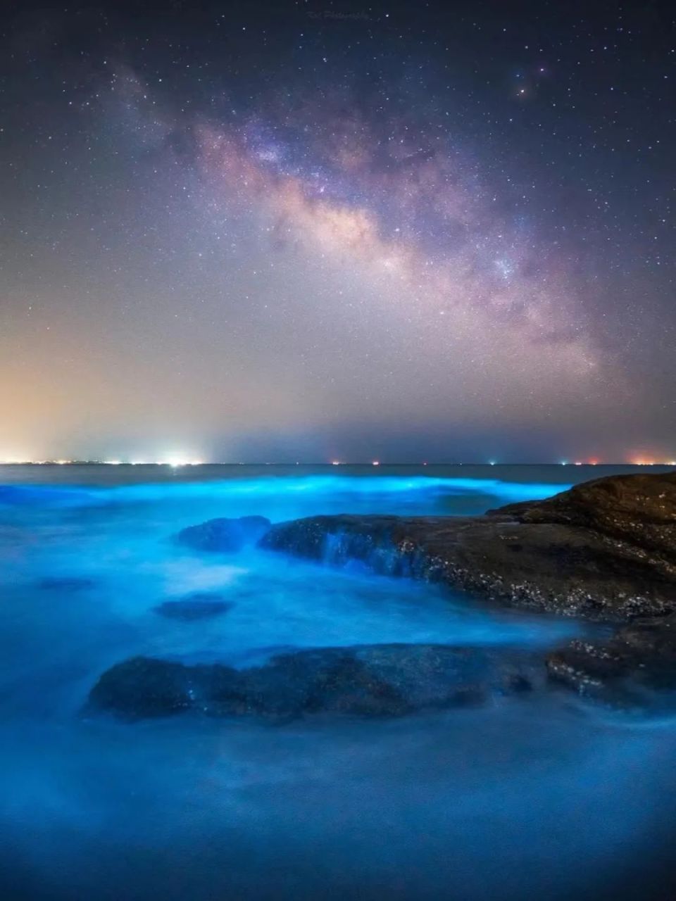 又到一年一度蓝眼泪爆发季!