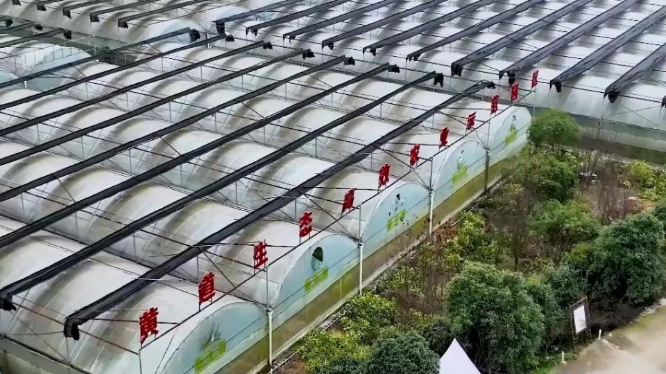 2023年以来,铜仁市思南县在全面实施"强村富民"行动中,坚持把发展壮大