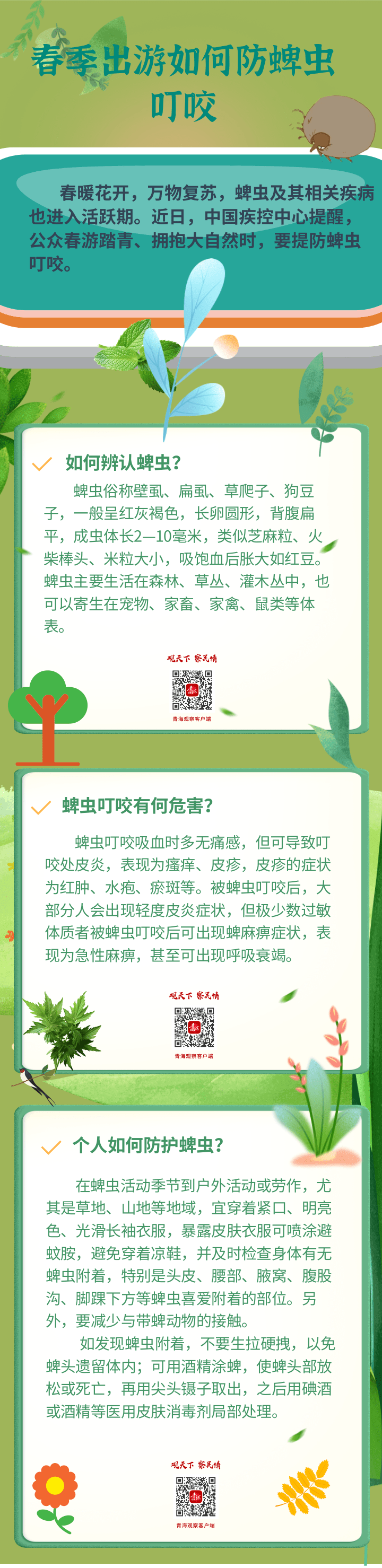 科普春季出游如何防蜱虫叮咬